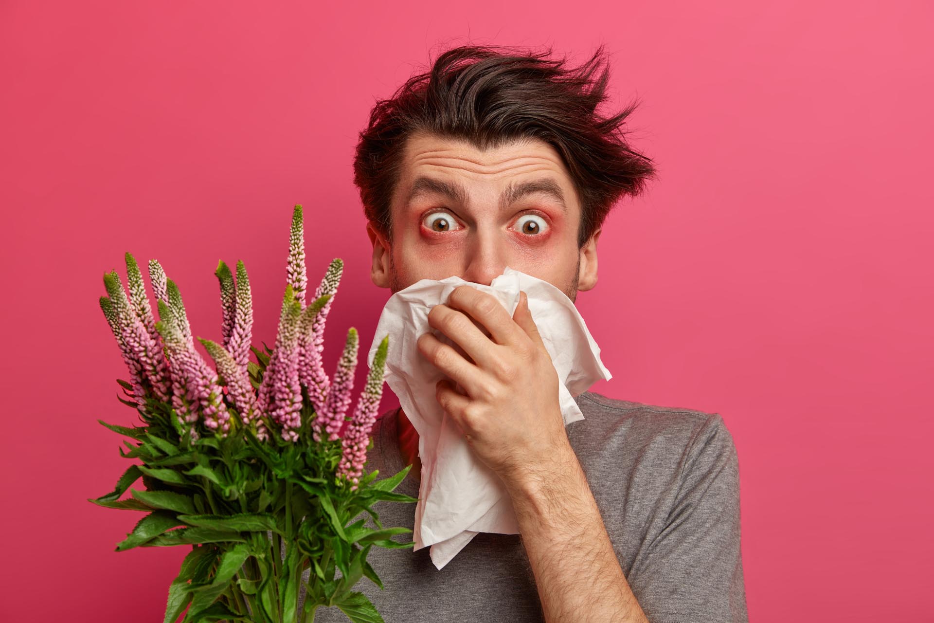 Man with allergy sneezes and covers nose with napkin, listens advice from allergist how to cure hay fever, has red watery eyes, needs to treat allergic rhinitis, isolated on pink background.